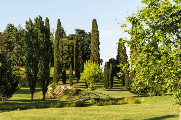 Schöne Aussicht Auf Den Sommerpark Der Nähe Von Schloss Spessa — Stockfoto