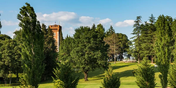 Schöne Aussicht Auf Den Sommerpark Der Nähe Von Schloss Spessa — Stockfoto