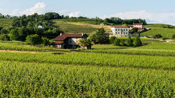 Spessa Şatosu ve Golf Kulübü