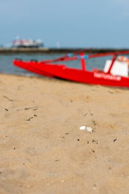 Sahildeki kırmızı tekne doğal arka planda.