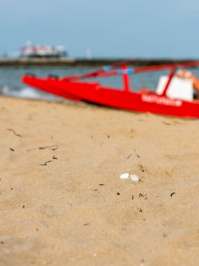 Sahildeki kırmızı tekne doğal arka planda.