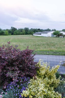 Doğal arka planda nehir olan güzel bir manzara.