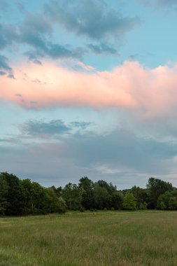 Yeşil çimenlerle ve bulutlu gökyüzüyle güzel bir manzara.
