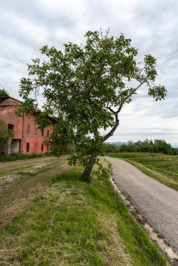 Kırsalda terk edilmiş eski bir ev.