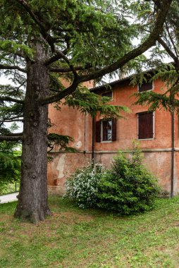 Şehirdeki eski binanın ön cephesi 