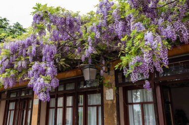 Şehirdeki eski binanın ön cephesi 