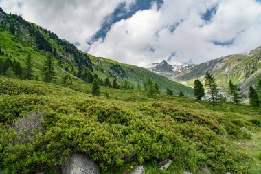 Dolomitlerin güzel manzarası, İtalya.
