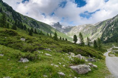 Dolomitlerin güzel manzarası, İtalya.