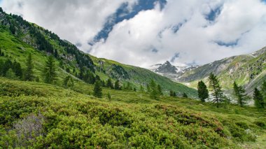 Dolomitlerin güzel manzarası, İtalya.
