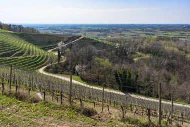 kırsal manzara manzarası