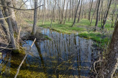 kırsal manzara manzarası