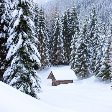 İtalya 'nın dağlarındaki Sappada köyünde kış manzarası