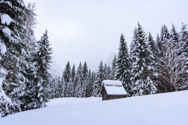 İtalya 'nın dağlarındaki Sappada köyünde kış manzarası