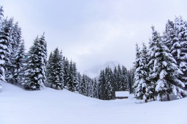 İtalya 'nın dağlarındaki Sappada köyünde kış manzarası