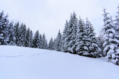 İtalya 'nın dağlarındaki Sappada köyünde kış manzarası