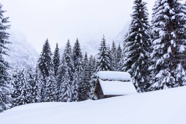 İtalya 'nın dağlarındaki Sappada köyünde kış manzarası