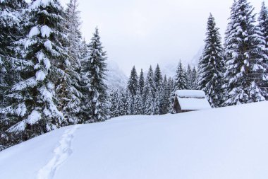 İtalya 'nın dağlarındaki Sappada köyünde kış manzarası