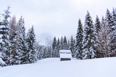 İtalya 'nın dağlarındaki Sappada köyünde kış manzarası