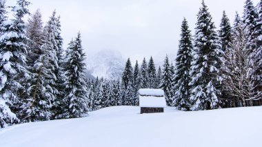 İtalya 'nın dağlarındaki Sappada köyünde kış manzarası