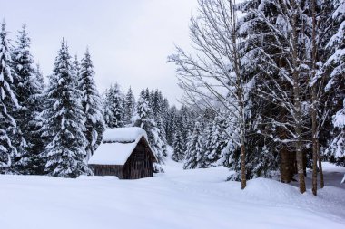 İtalya 'nın dağlarındaki Sappada köyünde kış manzarası