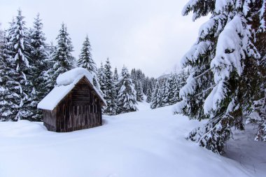 İtalya 'nın dağlarındaki Sappada köyünde kış manzarası