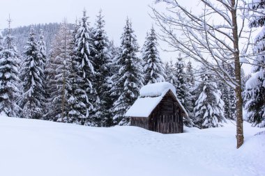 İtalya 'nın dağlarındaki Sappada köyünde kış manzarası