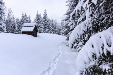 İtalya 'nın dağlarındaki Sappada köyünde kış manzarası