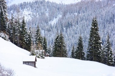 İtalya 'nın dağlarındaki Sappada köyünde kış manzarası
