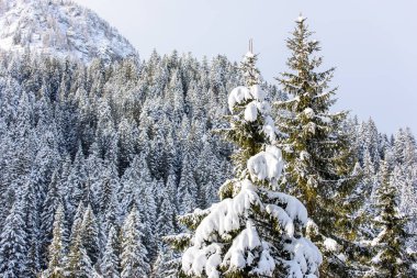 İtalya 'nın dağlarındaki Sappada köyünün manzarası