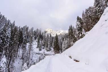 İtalya 'nın dağlarındaki Sappada köyünün manzarası