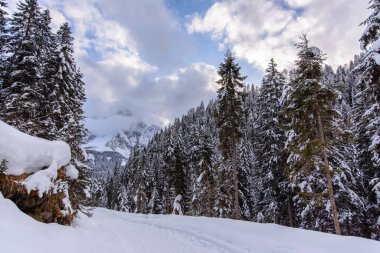 İtalya 'nın dağlarındaki Sappada köyünün manzarası