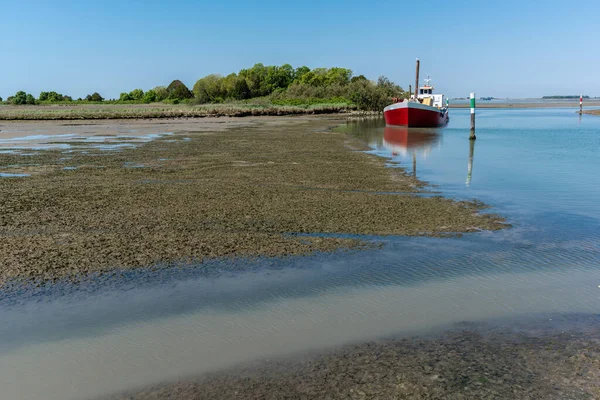 Buitenlandschap Barbana Italië — Stockfoto