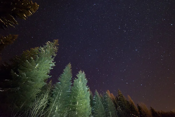 Красивая Ночная Сцена Звезд — стоковое фото