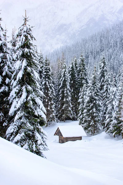 Naturaleza Escénica Invierno Pueblo Sappada Las Montañas Italia —  Fotos de Stock