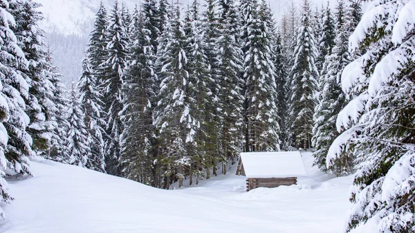 Natura Invernale Paesaggistica Nel Villaggio Sappada Montagna Italia — Foto Stock
