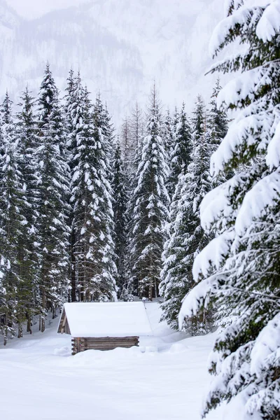 Natureza Inverno Cênica Aldeia Sappada Nas Montanhas Itália — Fotografia de Stock