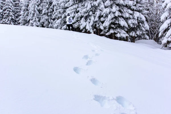 Natureza Inverno Cênica Aldeia Sappada Nas Montanhas Itália — Fotografia de Stock