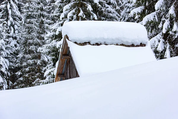 Scenic Winter Natuur Bij Sappada Dorp Bergen Italië — Stockfoto