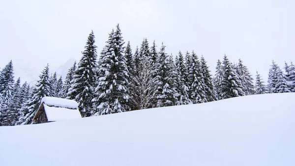 Natura Invernale Paesaggistica Nel Villaggio Sappada Montagna Italia — Foto Stock