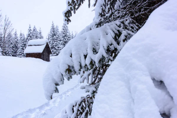 Natura Invernale Paesaggistica Nel Villaggio Sappada Montagna Italia — Foto Stock