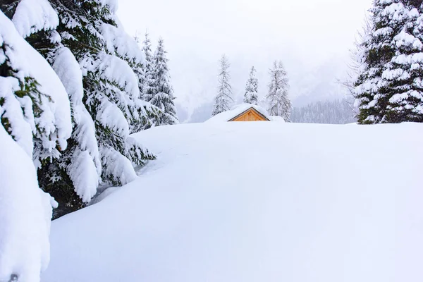 Scenic Winter Natuur Bij Sappada Dorp Bergen Italië — Stockfoto