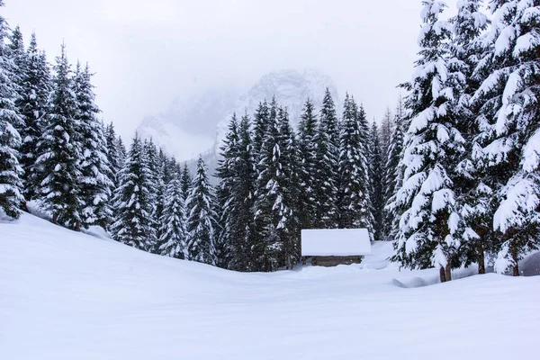 意大利山区Sappada村冬季风景自然 — 图库照片