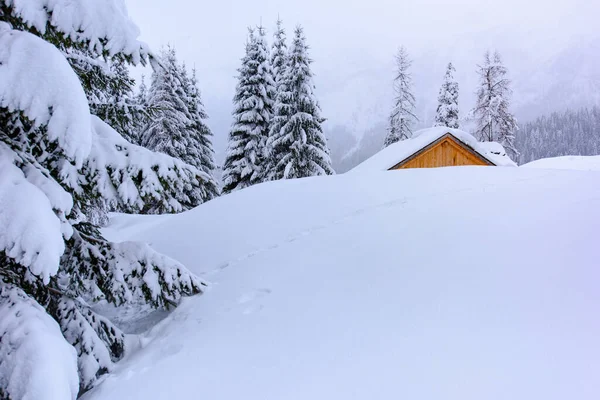 Landschaftliche Winternatur Dorf Sappada Den Bergen Italien — Stockfoto