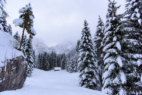 Natura Invernale Paesaggistica Nel Villaggio Sappada Montagna Italia — Foto Stock