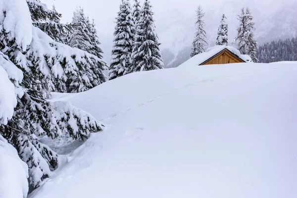 Natura Invernale Paesaggistica Nel Villaggio Sappada Montagna Italia — Foto Stock