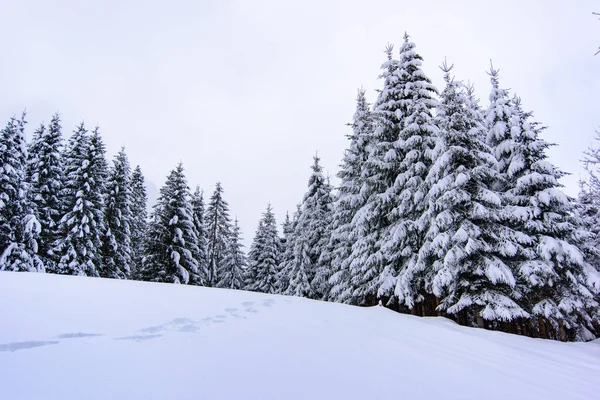 Natura Invernale Paesaggistica Nel Villaggio Sappada Montagna Italia — Foto Stock