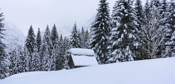 Scénická Zimní Příroda Vesnici Sappada Horách Itálie — Stock fotografie