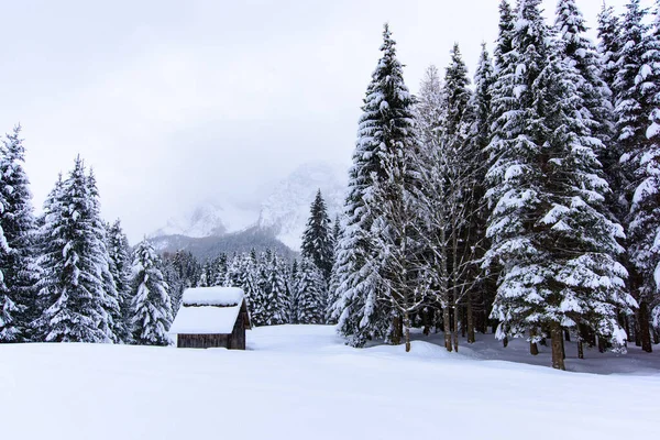 Natura Invernale Paesaggistica Nel Villaggio Sappada Montagna Italia — Foto Stock