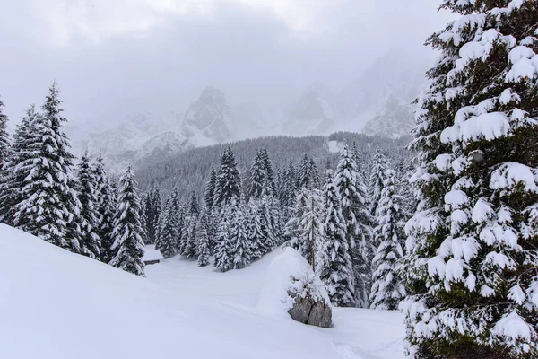 Malownicza Zimowa Przyroda Wiosce Sappada Górach Włochy — Zdjęcie stockowe