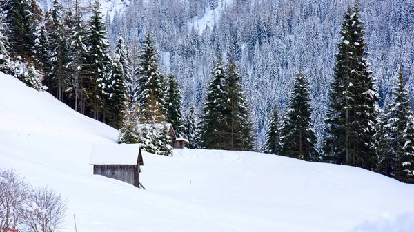 Natura Invernale Paesaggistica Nel Villaggio Sappada Montagna Italia — Foto Stock
